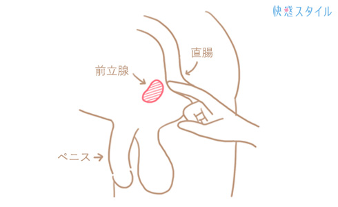 大好きな執事にオナニーを習い、初めての絶頂！その後の無茶振りから「巨根」の男性器を見せてもらい、やがて「獣交尾」に発展！ | 無料エロ漫画サイト  週刊ナンネットマンガ