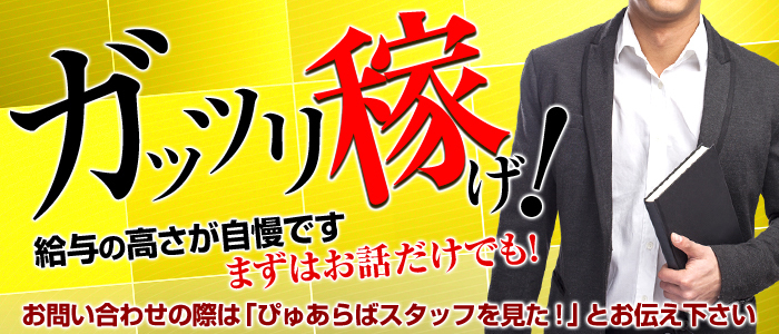 新宿サンキュー｜高収入男性求人【ぴゅあらばスタッフ】