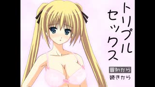 だっとさんの 妹が作った痛いアクションゲーム「トリプルセックス」【実況プレイ】その2