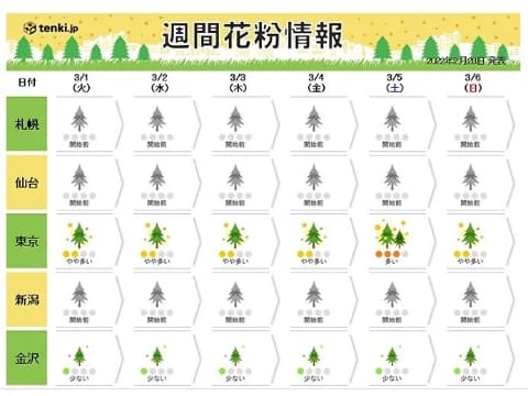 花粉症の治療と対策【202４年】仙台の花粉飛散ピーク前に仙台駅北口耳鼻咽喉科へ