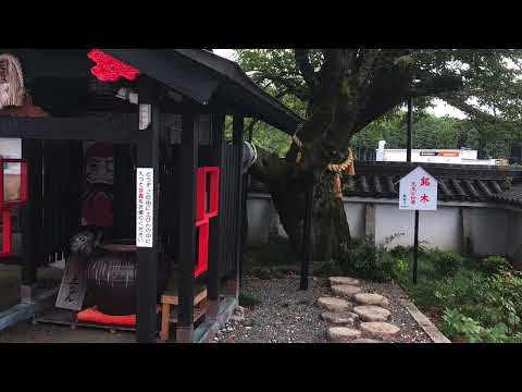 2023】京都で紅葉とともに楽しみたいスーパー銭湯&日帰り温泉 - KYOTO