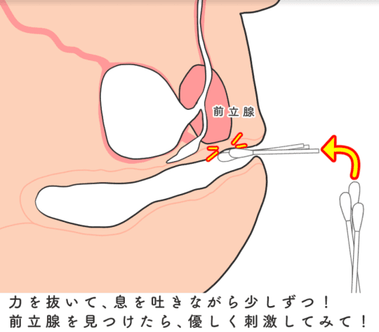 初心者必見】前立腺オナニーの正しいやり方とその魅力について解説！ | ユメトノ