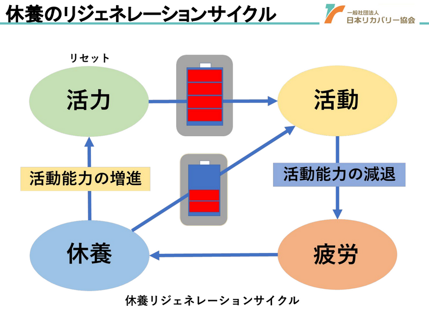 dhc サプリ 【 DHC