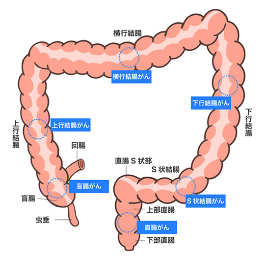 脳イキASMR -総集編-（アトリエDr.HEAD'S）の通販・購入はメロンブックス | メロンブックス