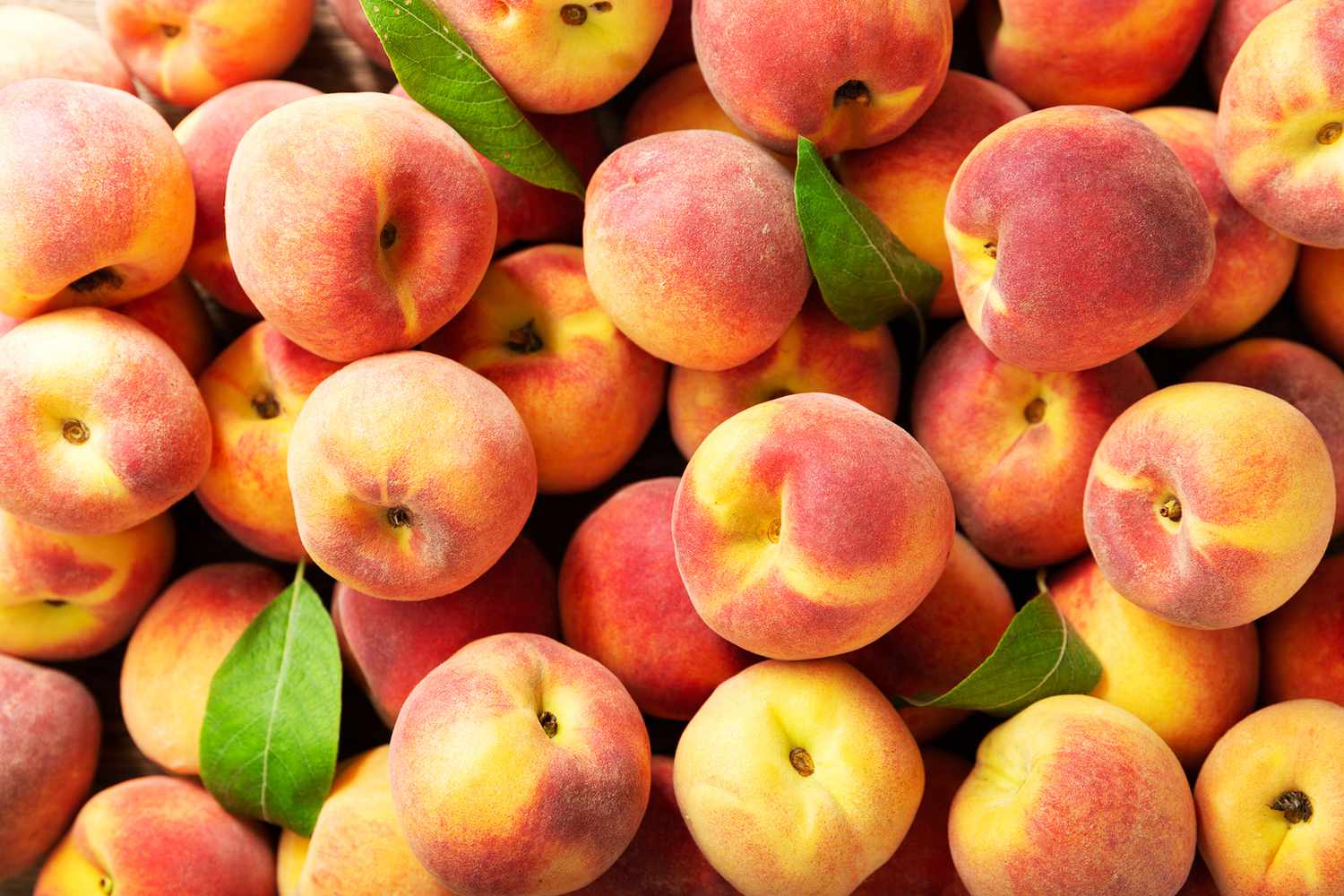 Peaches Facts, Uses, Nutritional Value