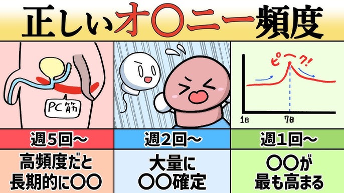 TENGAヘルスケアが「全国男性自慰行為調査2017」調査結果公開 「無料実写動画」が見るものランキング1位 - ねとらぼ