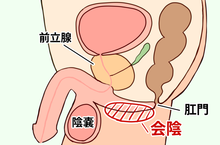 わずか1日で、前立腺マッサージ＋会陰押しメスイキ動画再生回数14000回！？しかも一気に1日で400人近く Twitter 