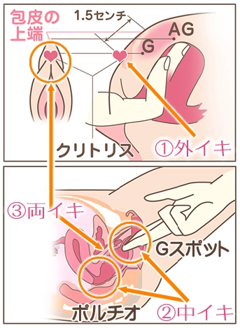 Gスポット開発とは？場所と位置の見つけ方 - 夜の保健室