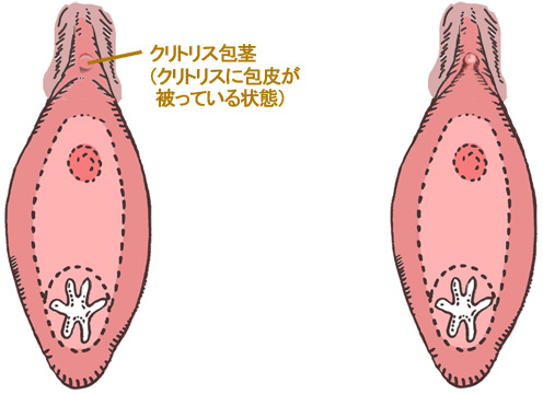 正しいクリトリスの触り方！過去イチの男と言わせる簡単テクも紹介｜駅ちか！風俗雑記帳