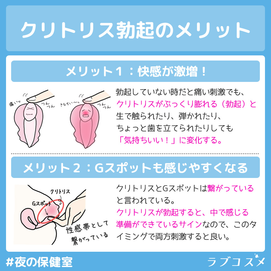 ペニスとクリトリス「勃起・形・メカニズム」の違い【比較完全図解】 | セクテクサイト