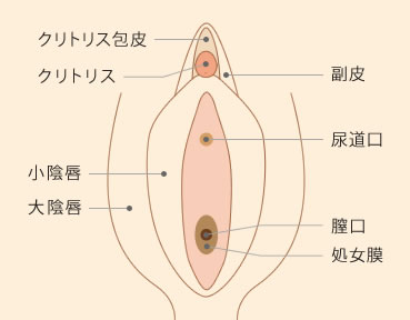 ぽろたん | 農研機構