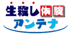 スマホで外出先から室内を確認！Wi-Fiライブカメラ (防犯 監視