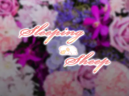 武蔵小杉メンズエステ Sleeping Sheep