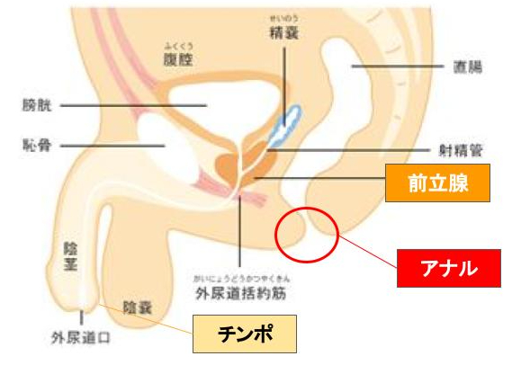 タピさんの風俗応援BLOG - ドライオーガズム