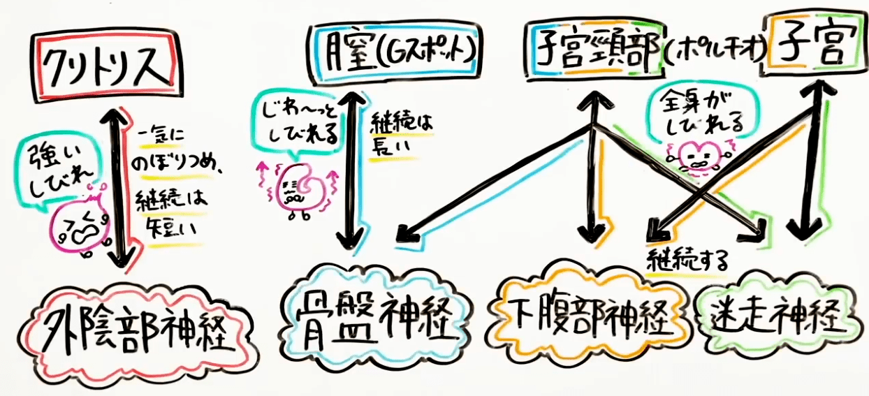 連続イキには〇〇の開発が必要！具体的なやり方やできない時の対処法も紹介｜駅ちか！風俗雑記帳