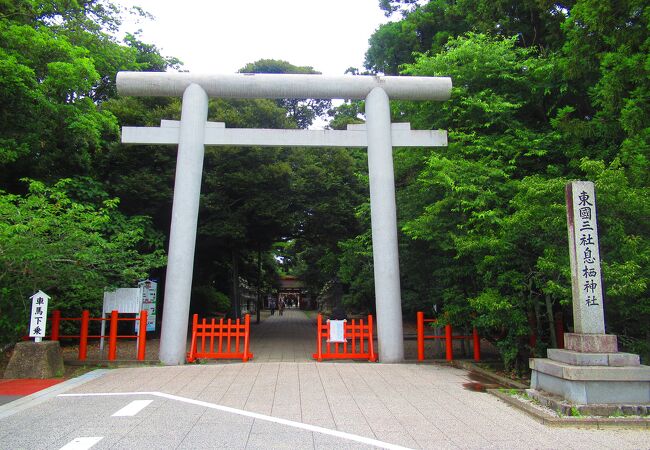 偕楽園公園 四季の原(桜川駐車場周辺)｜子連れママのための子育て情報サイト -