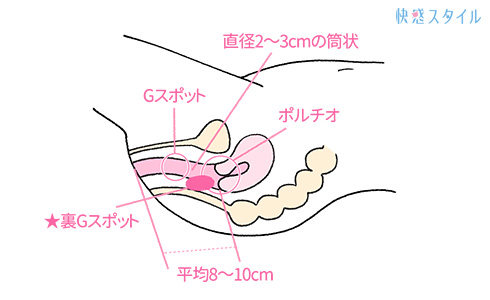 彼氏の「前立腺を開発」したい！アナル責めのやり方と注意点5つ！ | リア女ニュース