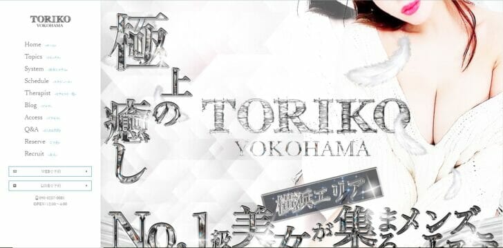 高知・高知発 メンズエステ 出張メンズエステ TORICO