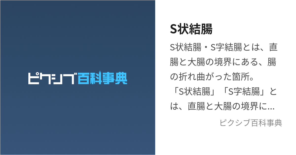 ドントセイマイネーム【僕のヒーローアカデミア/切爆】 | BLぱらだいす-無料でBL同人誌・漫画が読める！-