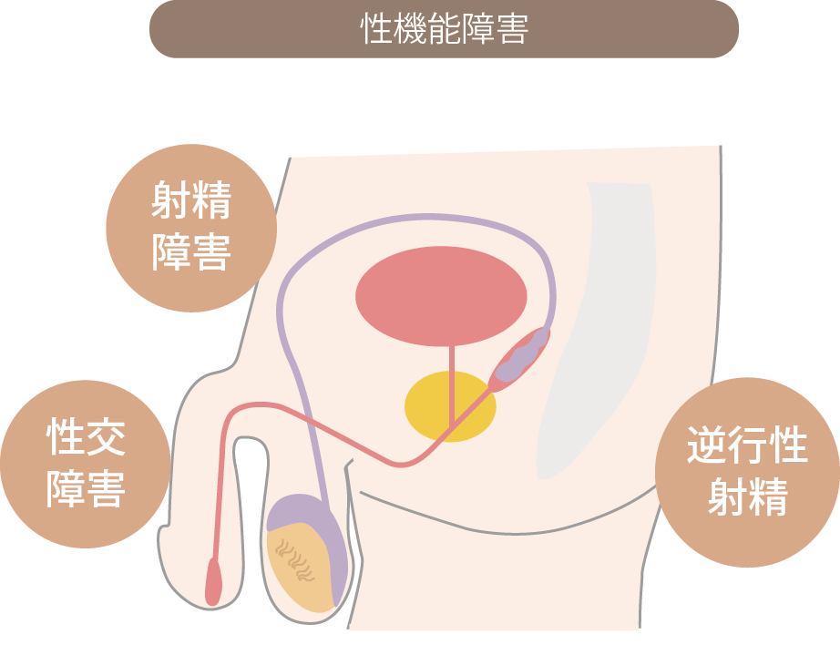 射精とは？至るまでの過程や男性特有の身体のメカニズムを解説 |【公式】ユナイテッドクリニック