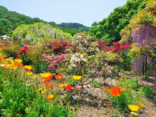 常磐公園（偕楽園）｜日本遺産ポータルサイト