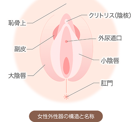 カンジダは自然治癒するのか？【原因・症状・薬】|天神マイケアクリニック