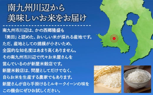 超早場米数量限定3❗️事前予約令和6年新米ミルキーゴールド20㎏ 鹿児島県産精米済 - 米・雑穀・粉類