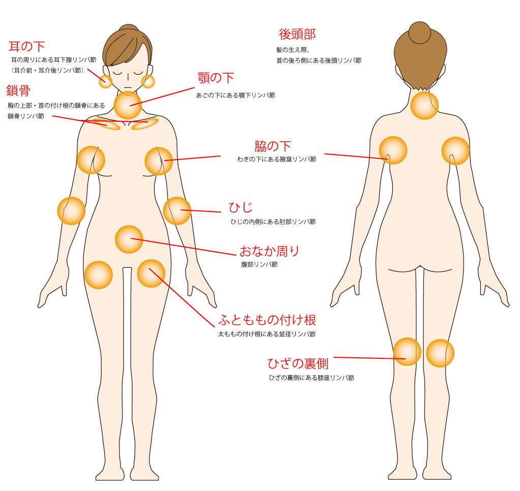 デコルテってどこのこと？意外と知らないファッション用語豆知識♪ | face to BEST