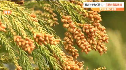 花粉症の最新治療 −花粉症はこわくない−