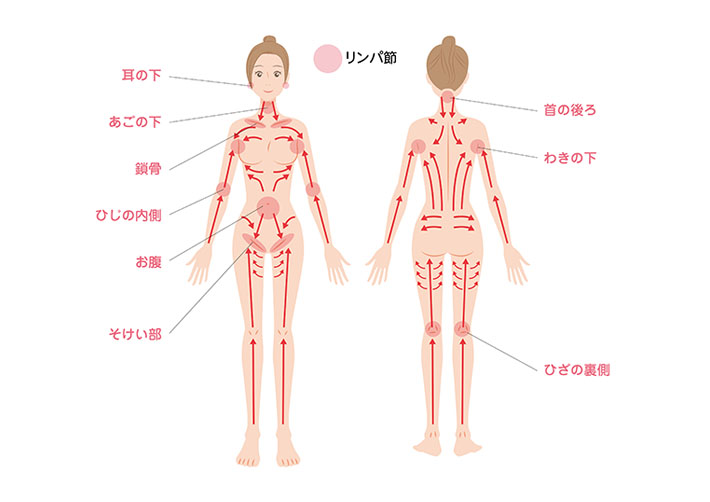 プロ監修】鼠径部リンパマッサージで、むくみのない、キレイな脚を目指す！｜コラム｜銀座ナチュラルタイム-銀座駅から徒歩1分の極上リンパマッサージ