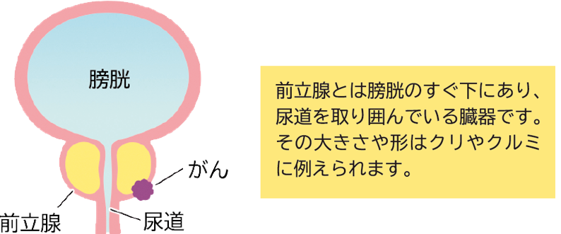 2020年しまんと地栗】過去最大の73gを超える栗は現れるか…！？ | 四万十ドラマのどらま