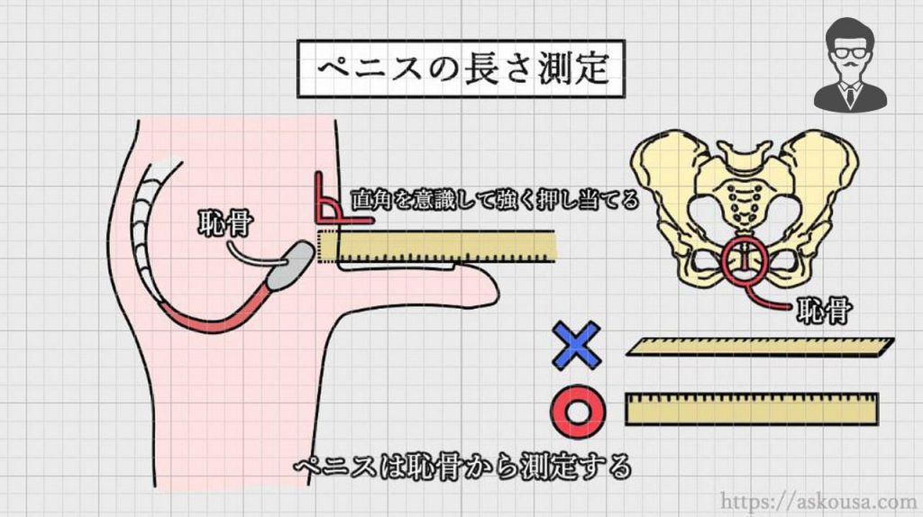 ペニはか～る|アダルトグッズや大人のおもちゃ、玩具の通販ショップのNLS