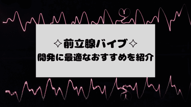 Amazon | 【ビギナーにオススメ】 アナルプラグ