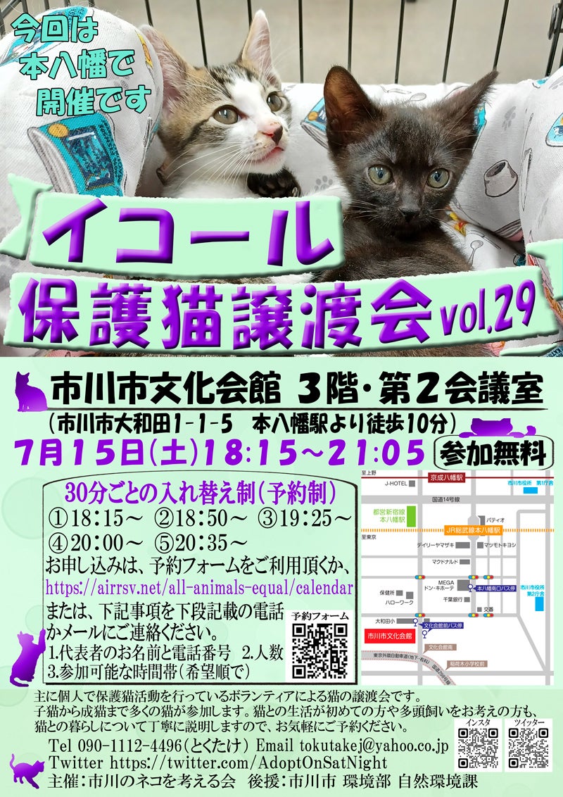 春日井市】ご祈祷を受けた「福猫」が参加！8/18（日）柏井八幡社本宮にて保護猫譲渡会が開催。（とっとこ） - エキスパート