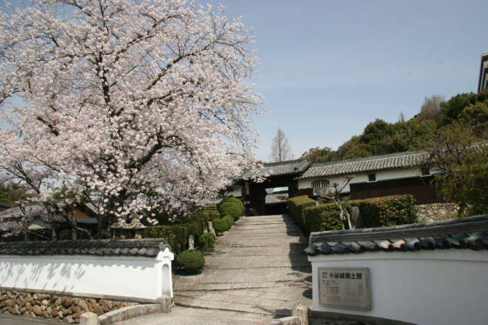 香ばしい町 井原市