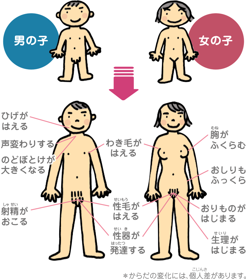 甘出しオナニーとは？連続射精で賢者タイム知らずって本当？訓練方法・効果的な食事・サプリメント【AV男優もやっている】