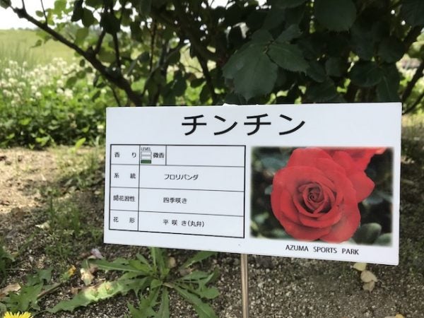 福島市】あの名画のような風景が目の前に！照南湖ビオパーク | リビングふくしまWeb