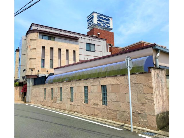 オレンジ色の黄身が食欲そそる、煮たまごラーメン「せい家」＠北久里浜 - 家系ラーメンマン