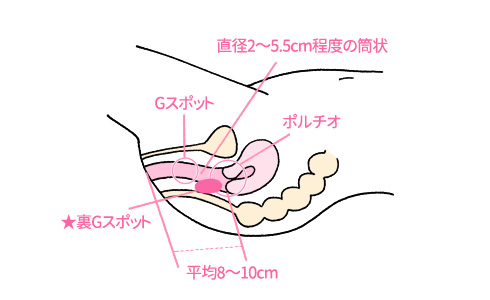 男の100倍説も…女性にとって「挿入」はどのくらい気持ちいいのか？ – FANZAニュース