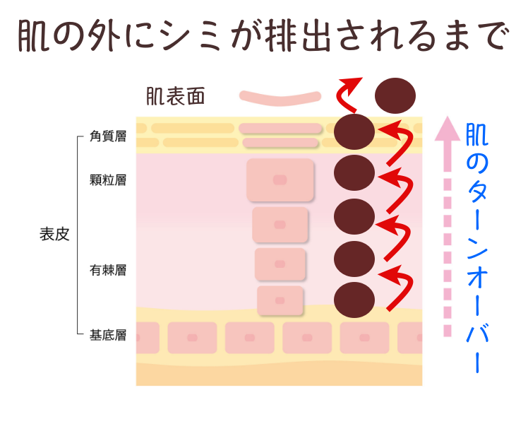 ブラーバ矯正の症例写真を公開！ほかの裏側矯正とどう違う？経過写真から治療効果や期間を確認 – DDデンタルクリニックグループ公式メディア