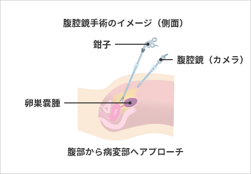 体育教師だしガバマンそう』 影で言われて傷つきました オシャレしたのに、、、 緩いのかな。。 今日会いたかったけど…