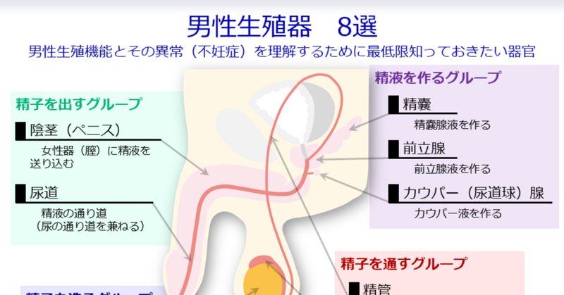 風俗エステの「前立腺マッサージ」の前にしておきたい事前準備とは？｜エステの達人マガジン