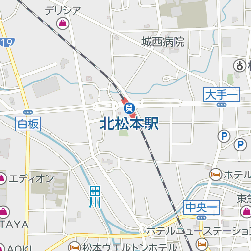 松本城の本丸庭園でも…サル目撃相次ぐ 市などが捜索も発見に至らず “小さめ”の個体 目撃者「顔を見たら逃げて行った」（NBS長野放送）