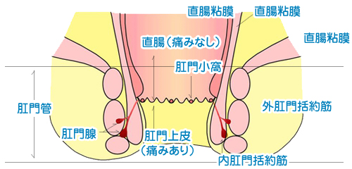 彼女 お 尻 の