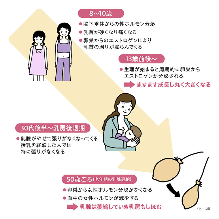 乳首が感じるか確認するずんだもんBB