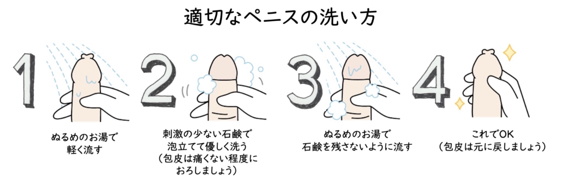 治らない亀頭包皮炎の治療について|どんな薬が効く？治らない理由は？ | 泌尿器科｜GOETHE