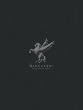 Anemone 渋谷店（アネモネシブヤテン） -