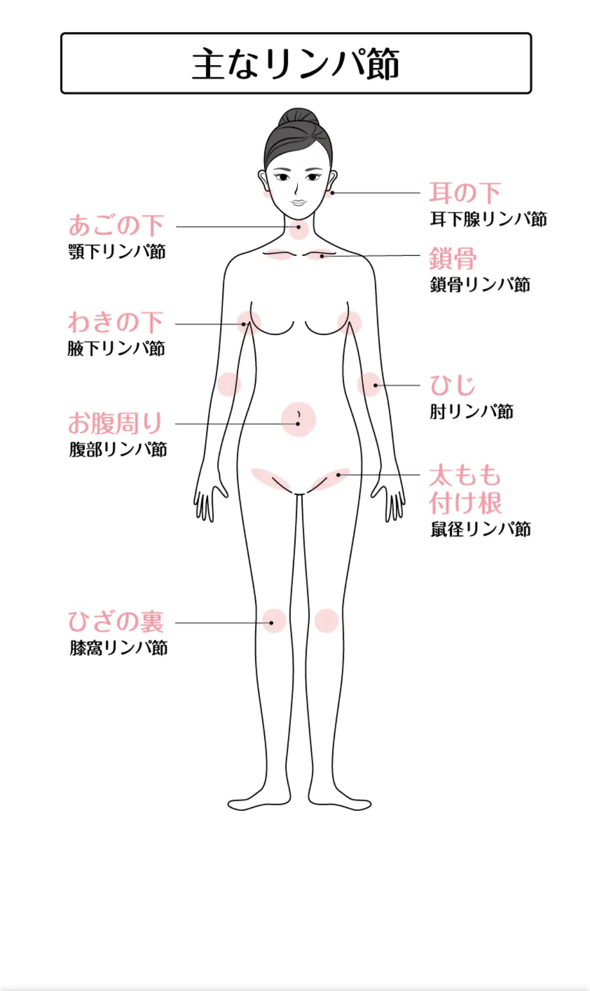 リンパマッサージで流した老廃物はどこにいく？｜コラム｜銀座ナチュラルタイム-銀座駅から徒歩1分の極上リンパマッサージ