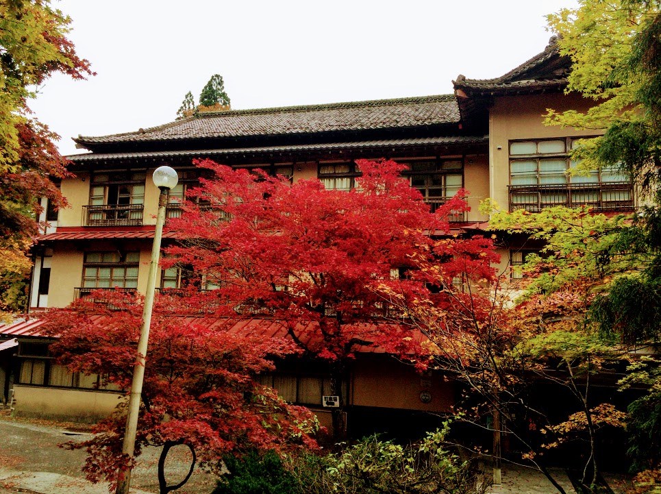 天塩中川）藤田旅館 夕食 :