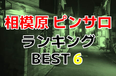 延岡学園高等学校 | さくらVOLLEY 第28回全国私立高等学校男女バレーボール選手権大会